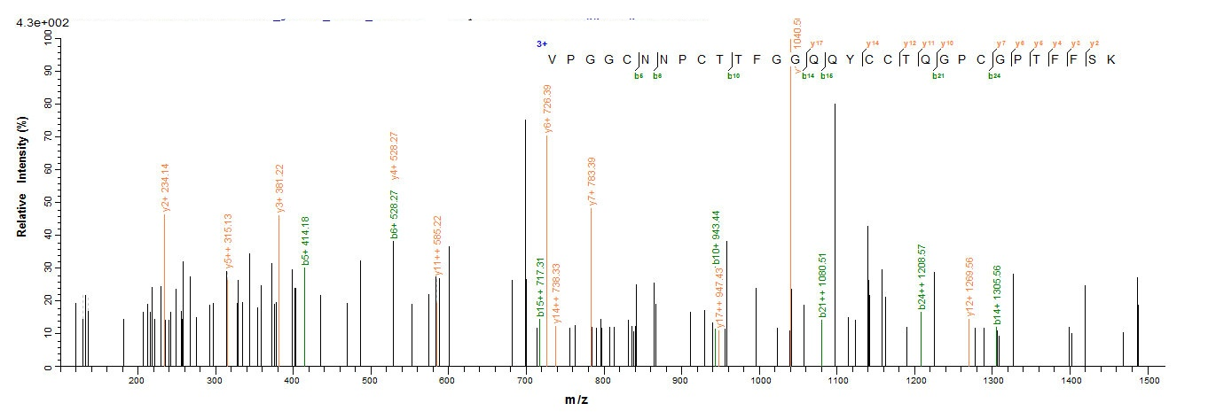 Plant AP24 protein
