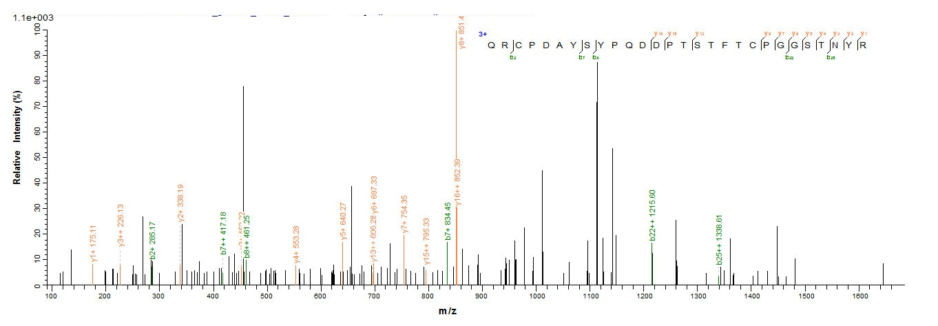 Plant AP24 protein