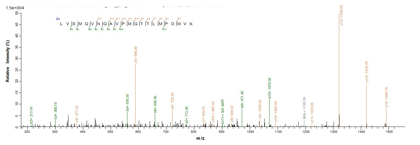 Animal OP-3 protein