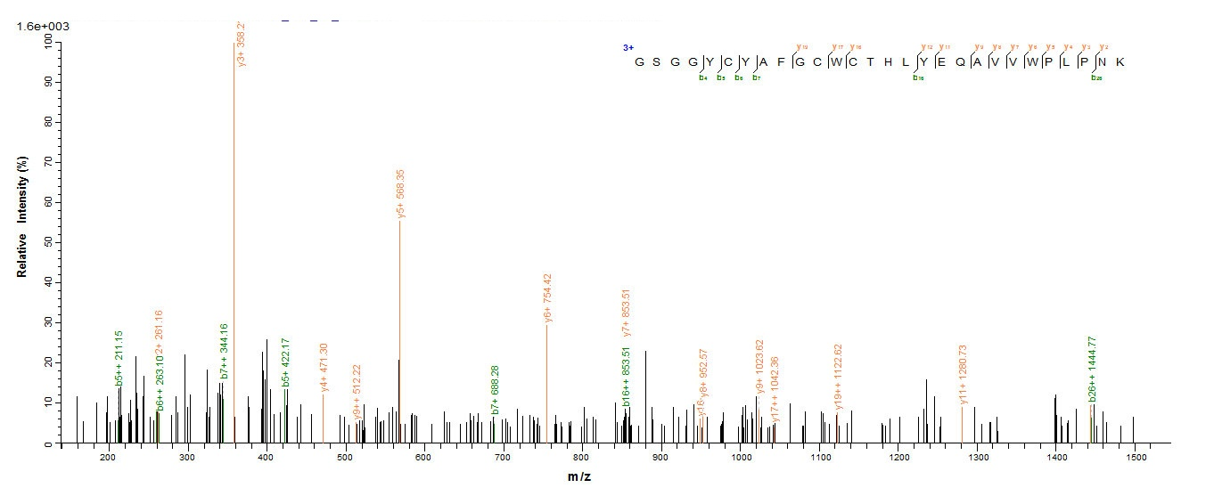 Insect Css4 protein