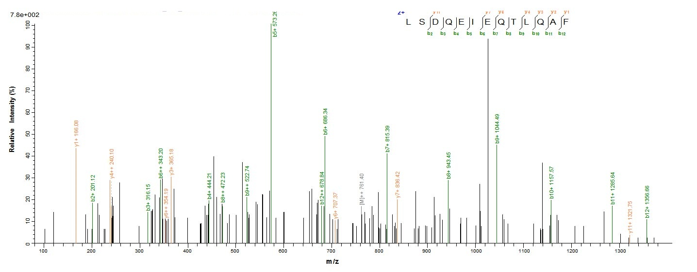 E. coli fkpA protein