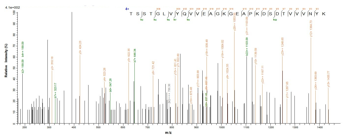E. coli fkpA protein