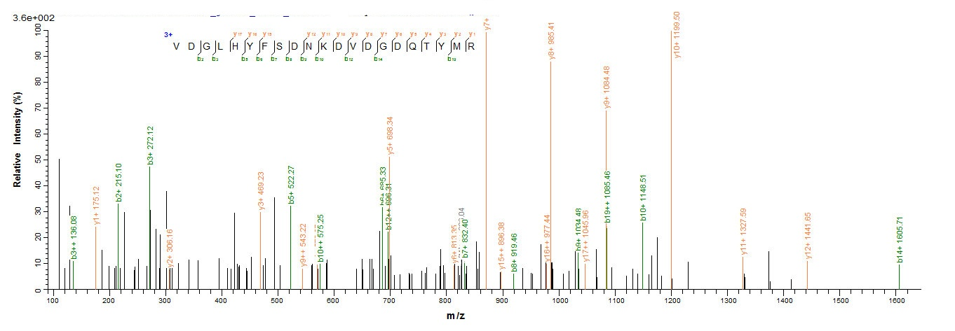 E. coli ompC protein