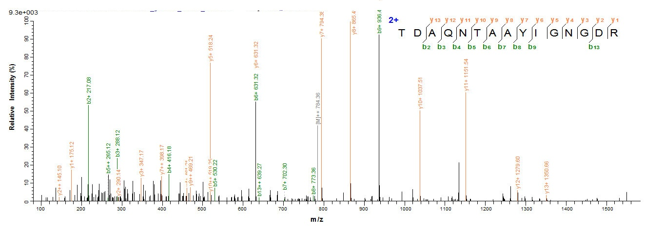 E. coli ompC protein