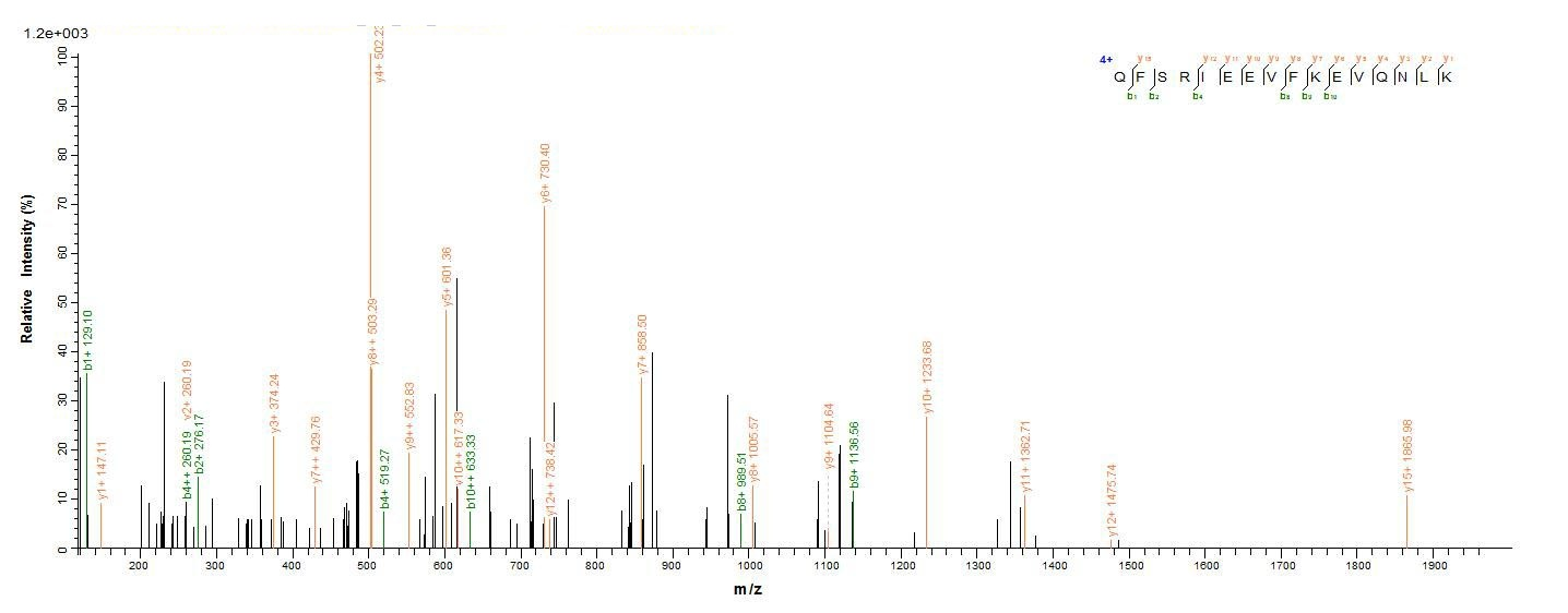 Human FGL2 protein