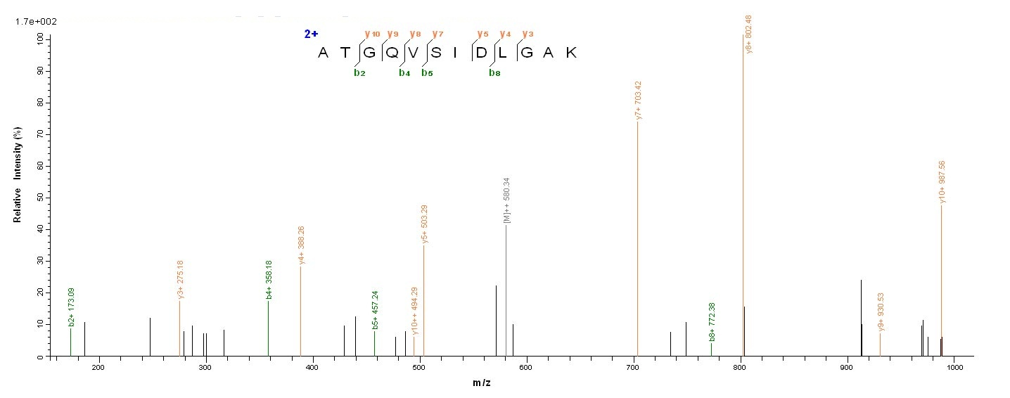 Bacterial fabF protein