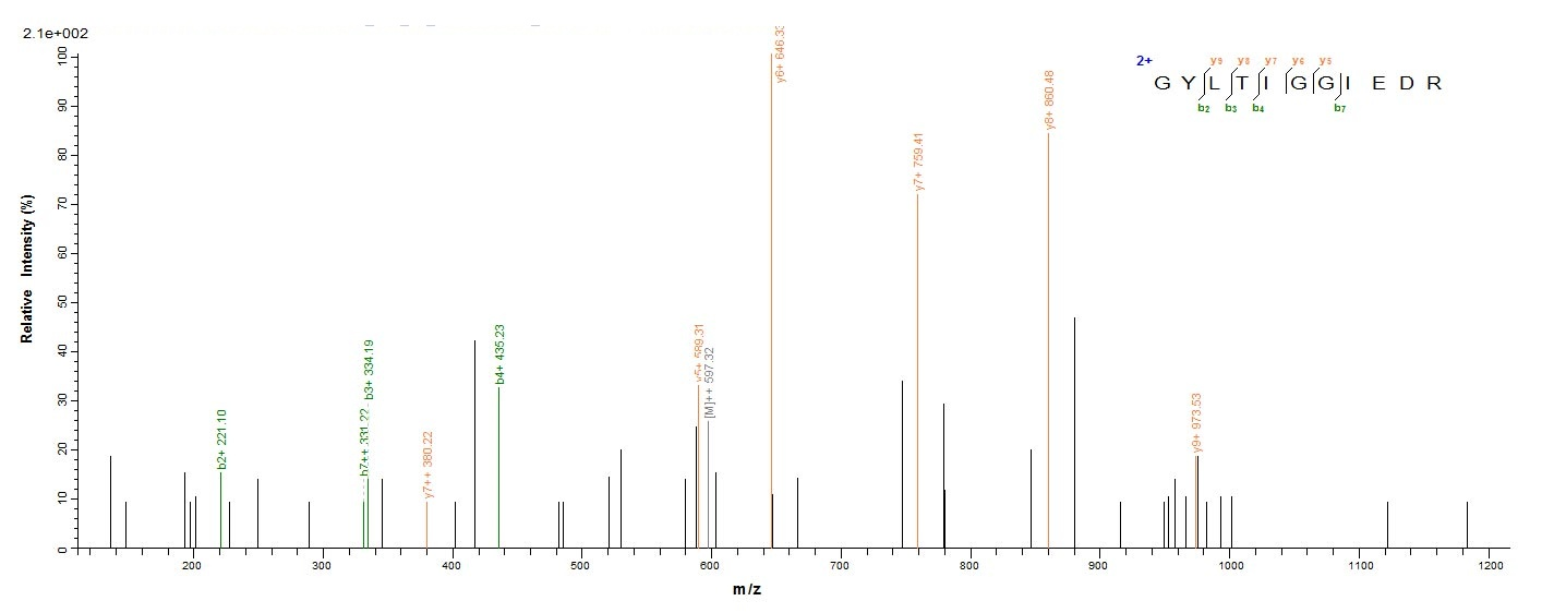 parasite Plasmepsin-1 protein