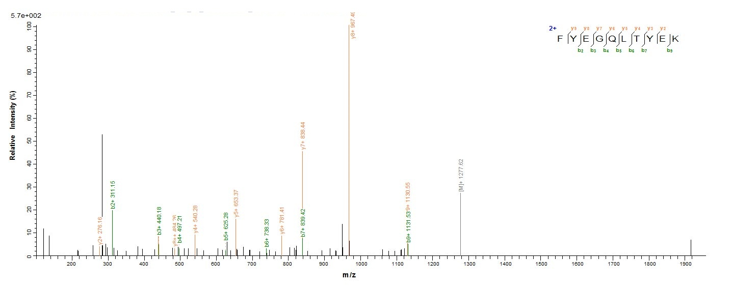 parasite Plasmepsin-1 protein