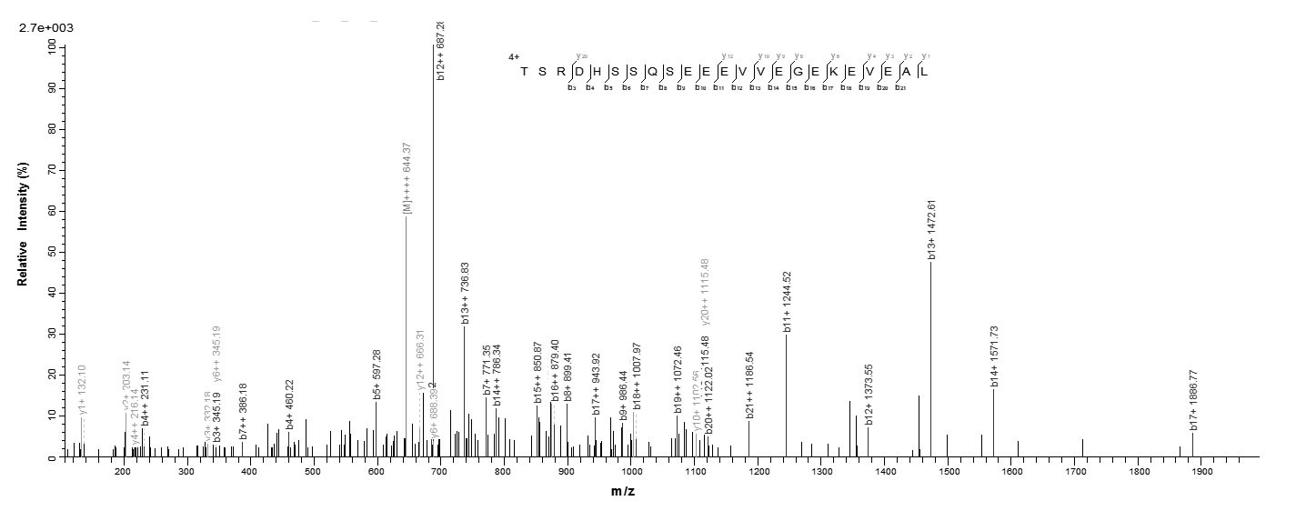 Human BNIP3L protein