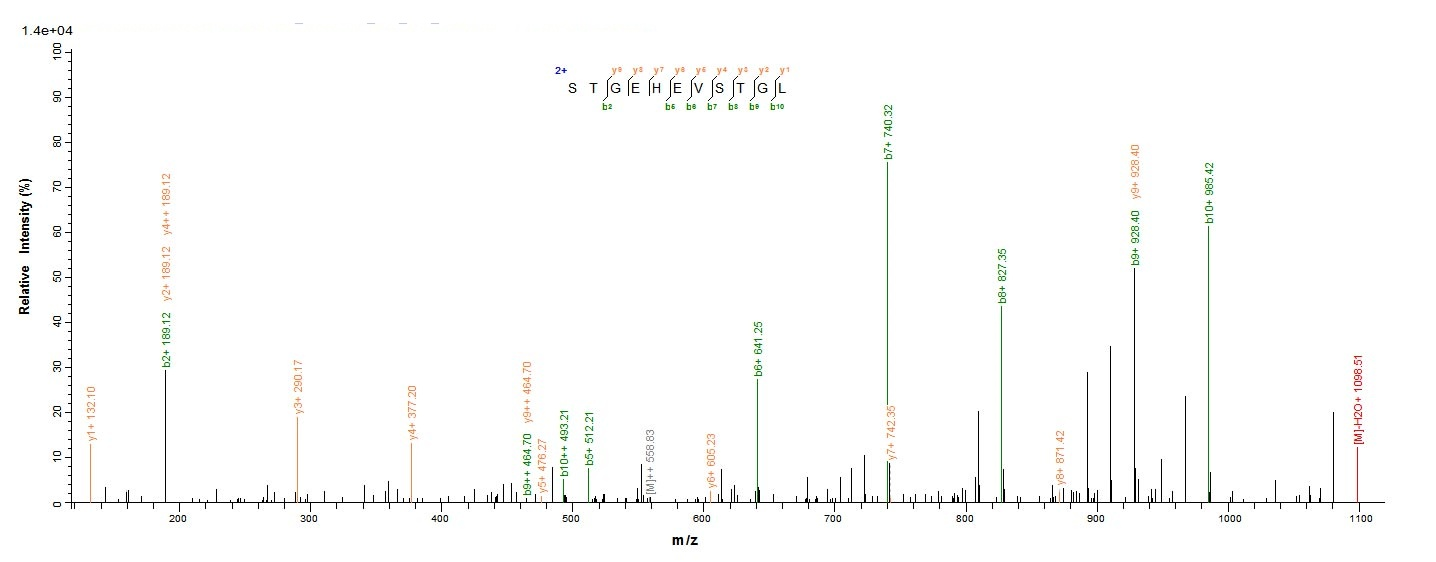 Mouse Ccr5 protein