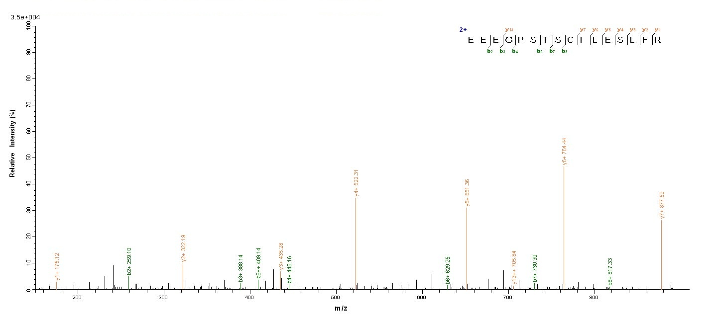 Human MAGEA1 protein