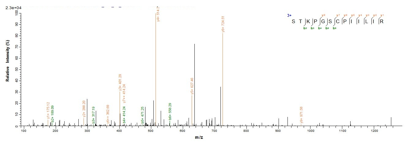 Human PI3 protein