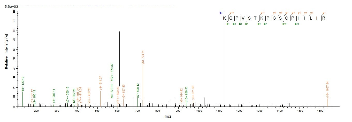 Human PI3 protein