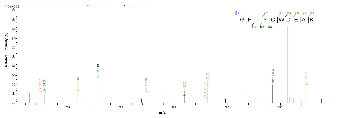 Viral Scytovirin protein