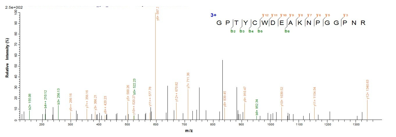 Viral Scytovirin protein