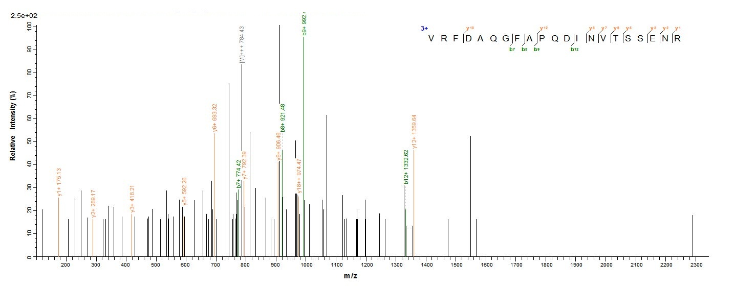 Animal Major egg antigen protein