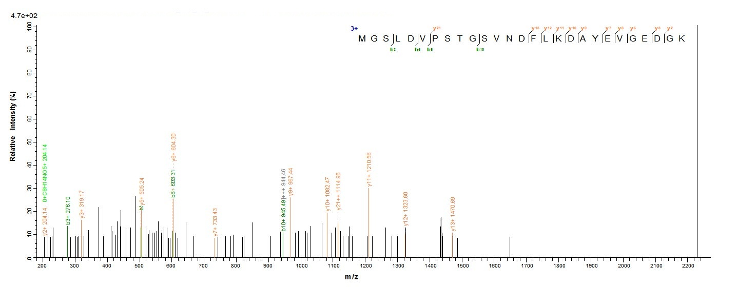 Animal Major egg antigen protein