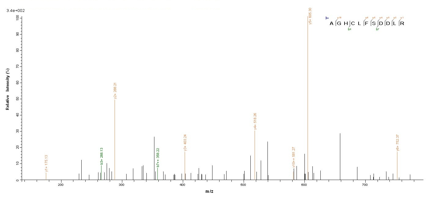 Viral KP6 killer toxin protein