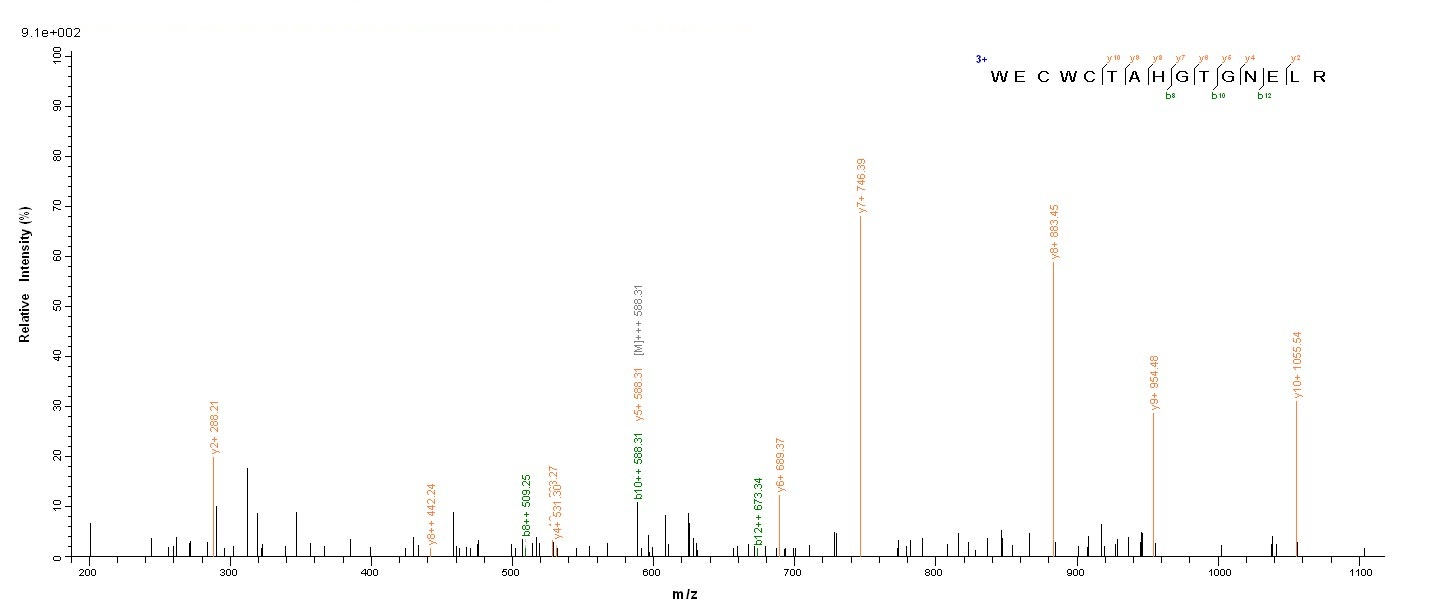 Viral KP6 killer toxin protein