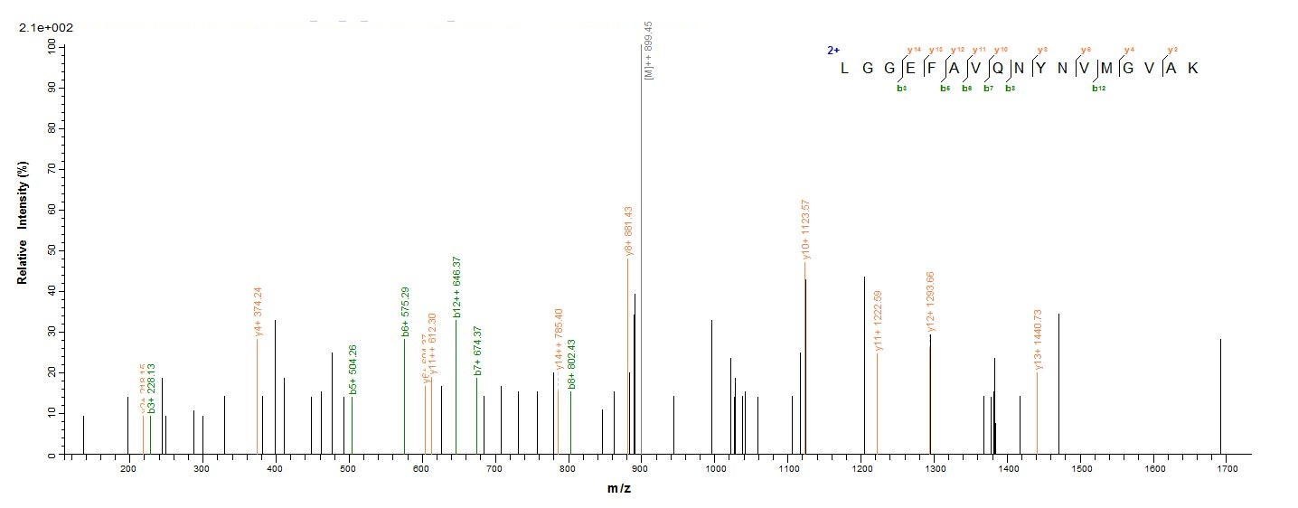Bacterial fabI protein
