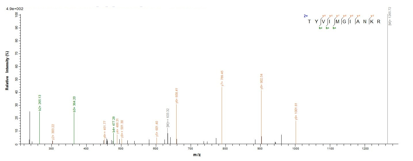 Bacterial fabI protein