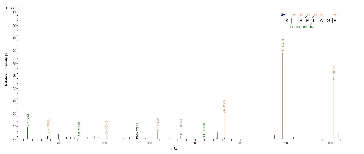 Bacterial acpS protein