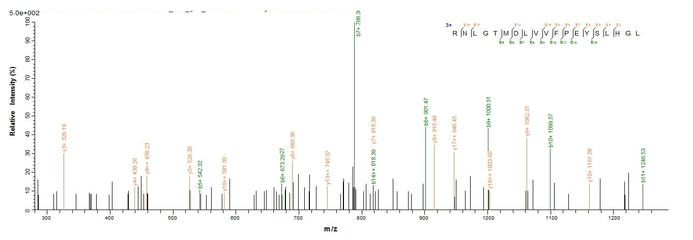 Bacterial amiF protein