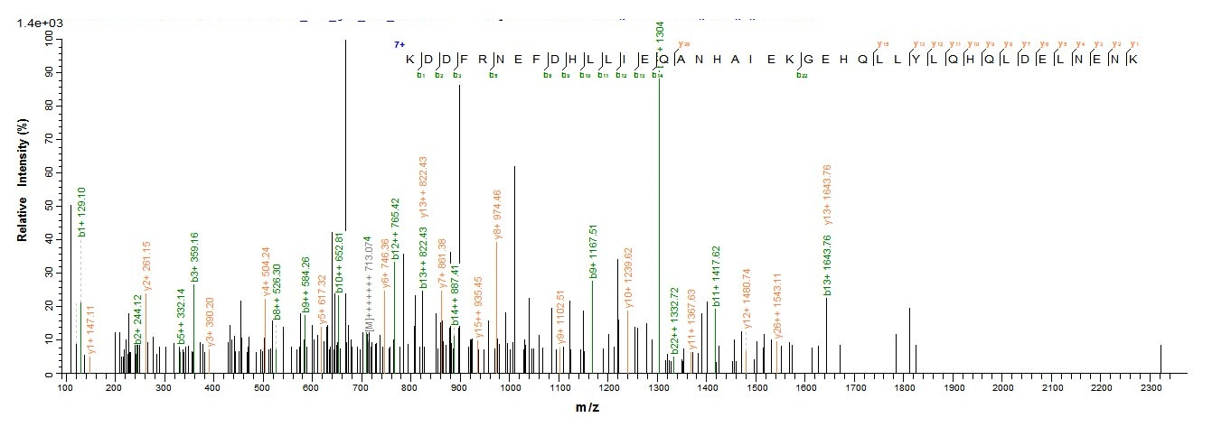 Animal BLOT5 protein
