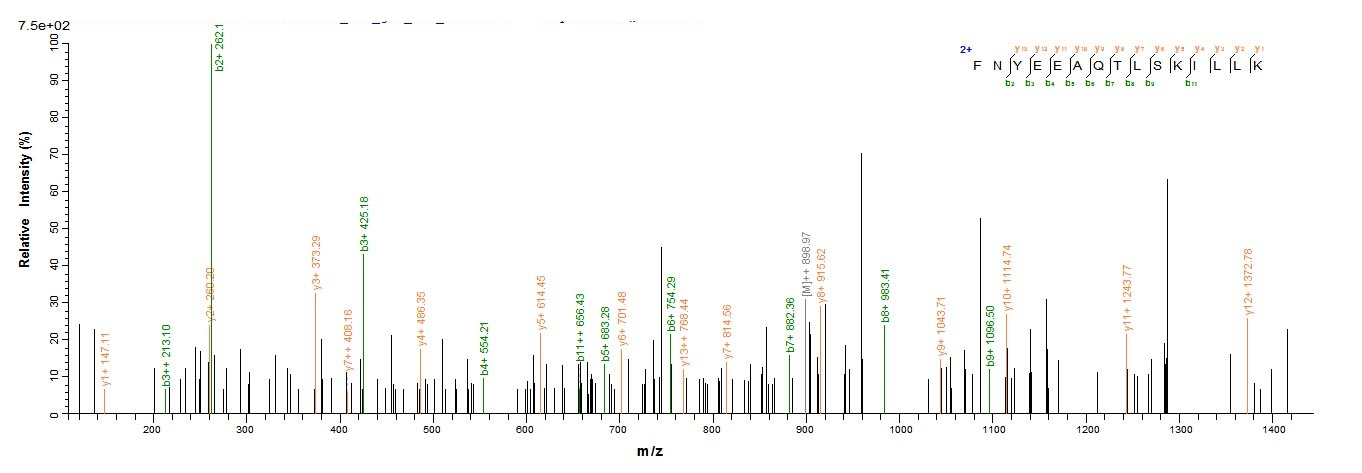 Animal BLOT5 protein
