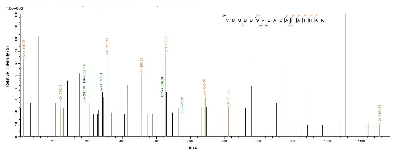 Insect DERP2 protein
