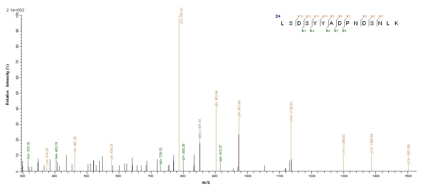 Bacterial clfB protein
