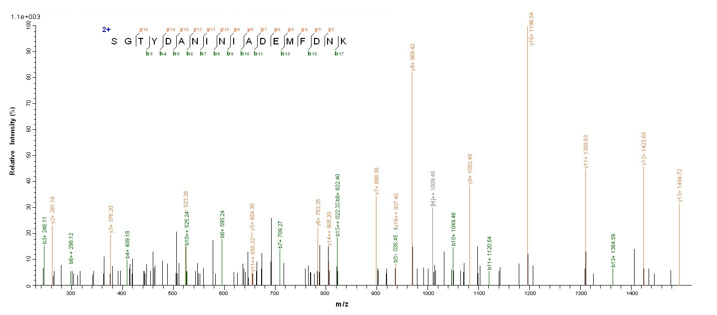 Bacterial clfB protein