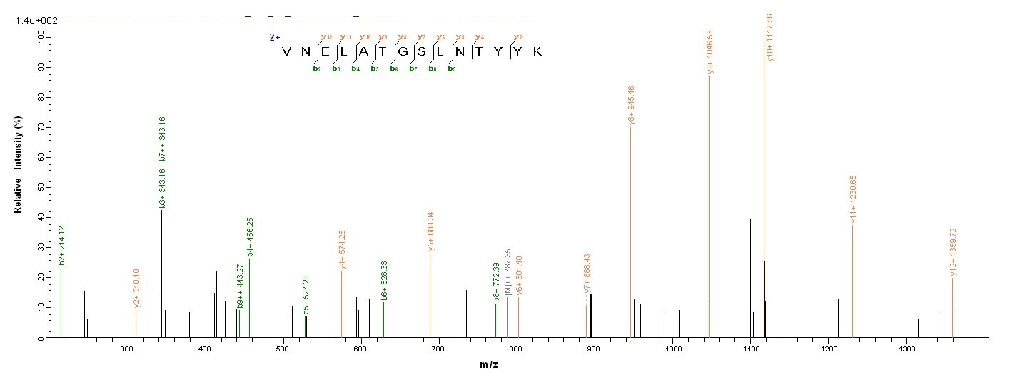 Bacterial scn protein