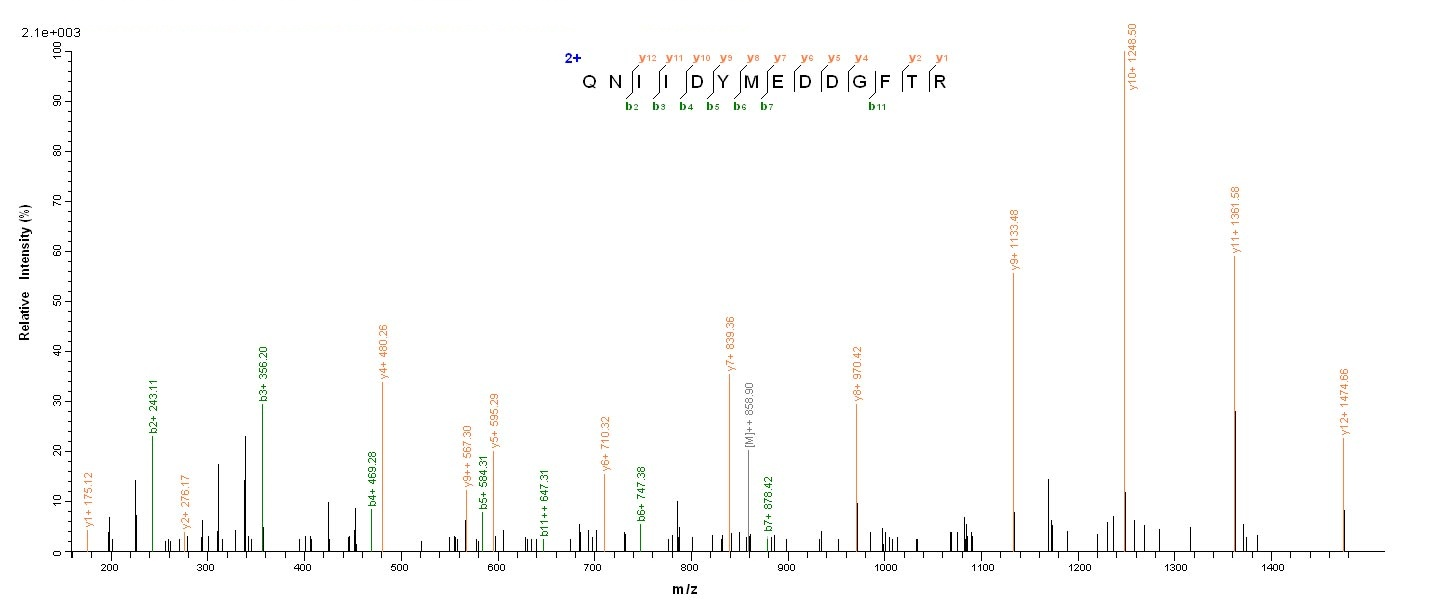 Bacterial repD protein