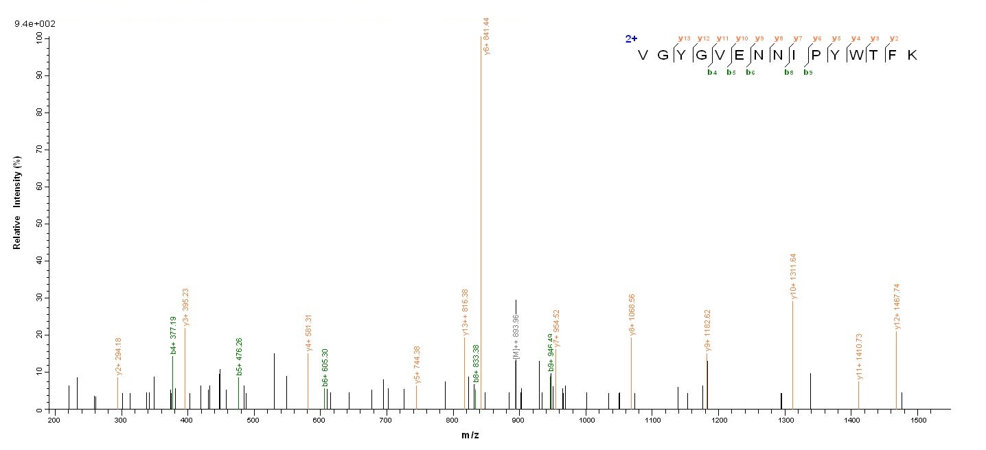 Viral VCATH protein