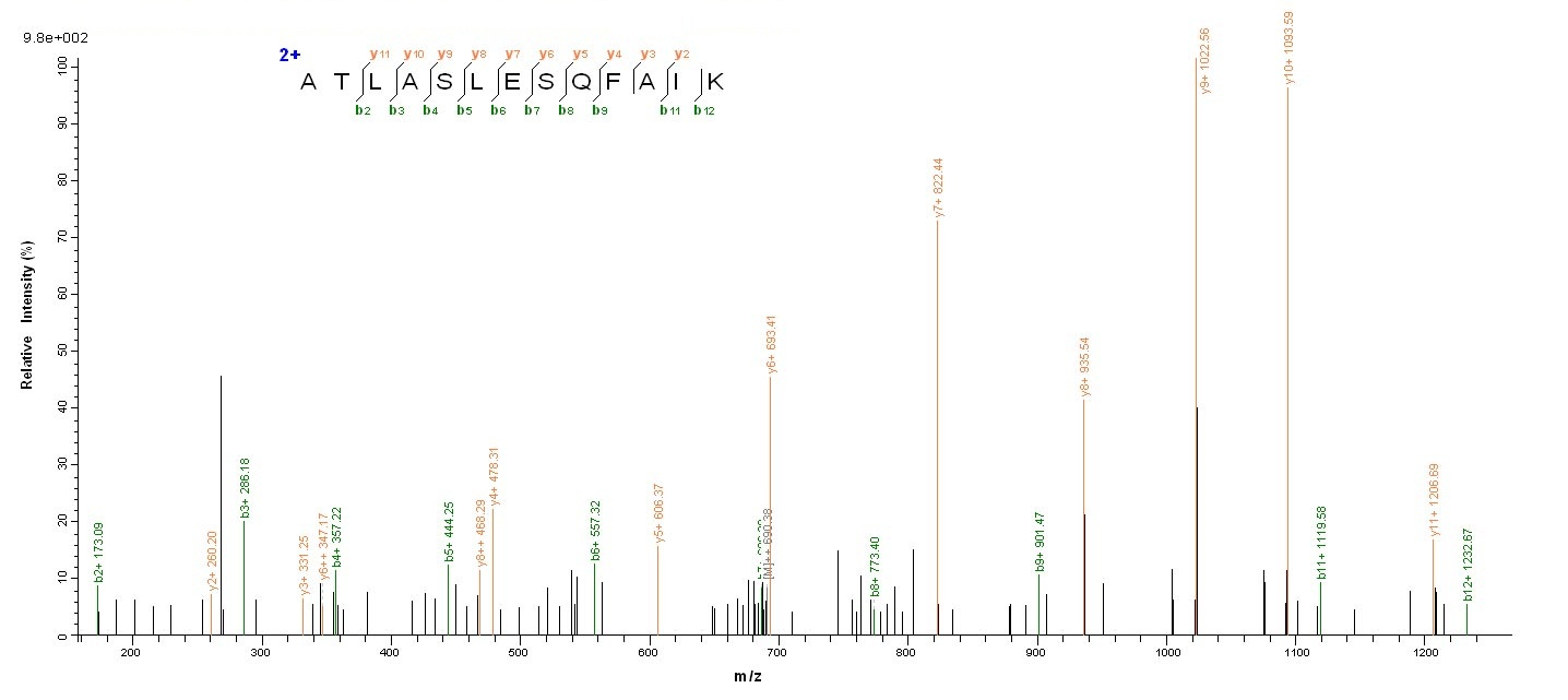 Viral VCATH protein