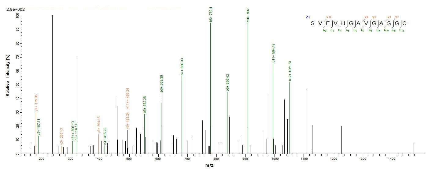 Human LAMA5 protein