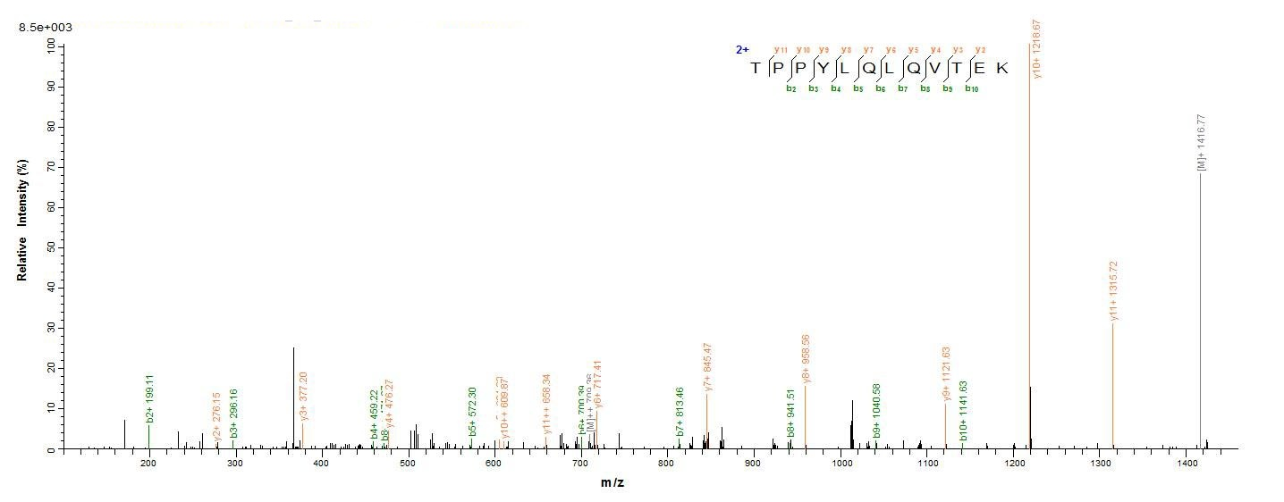 Human LAMA5 protein