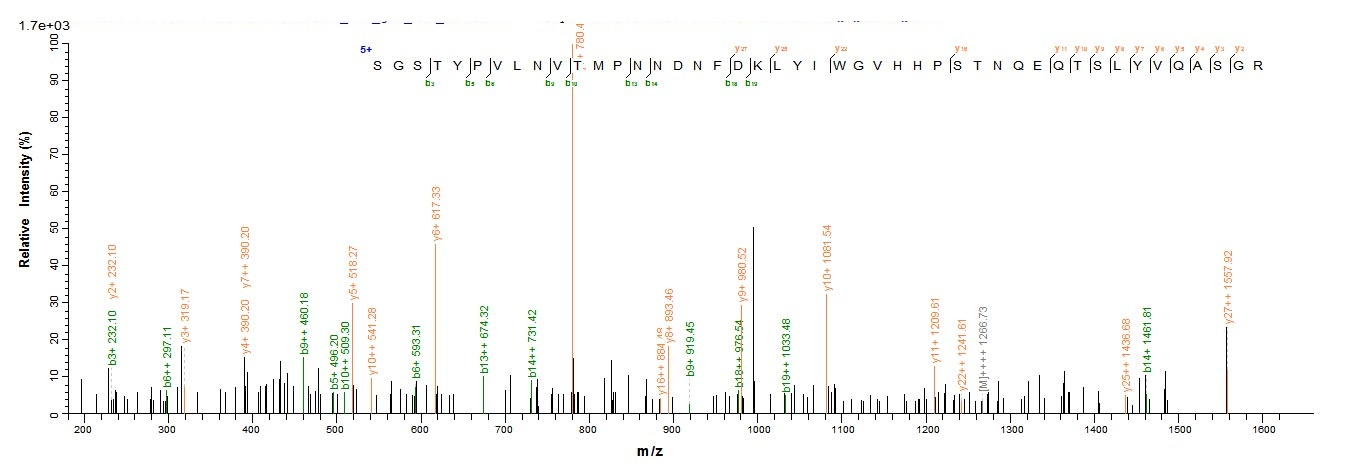 Viral HA protein