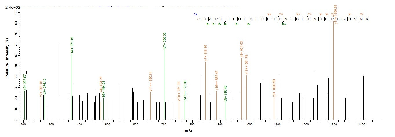 Viral HA protein