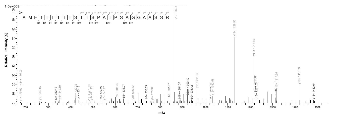 Human NRG3 protein