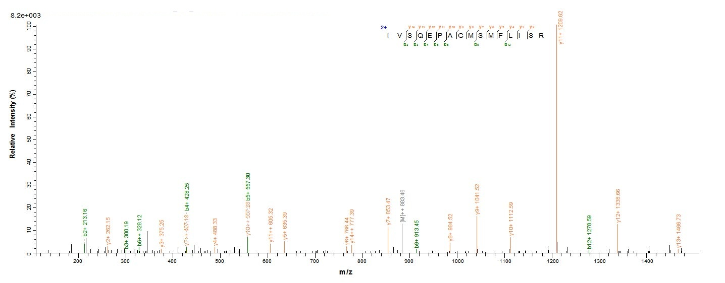 Mouse Dsg3 protein