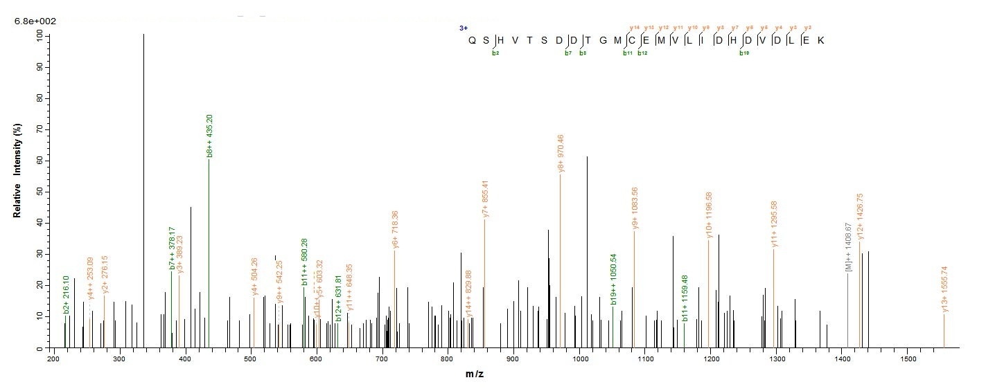 Human MAPKAP1 protein