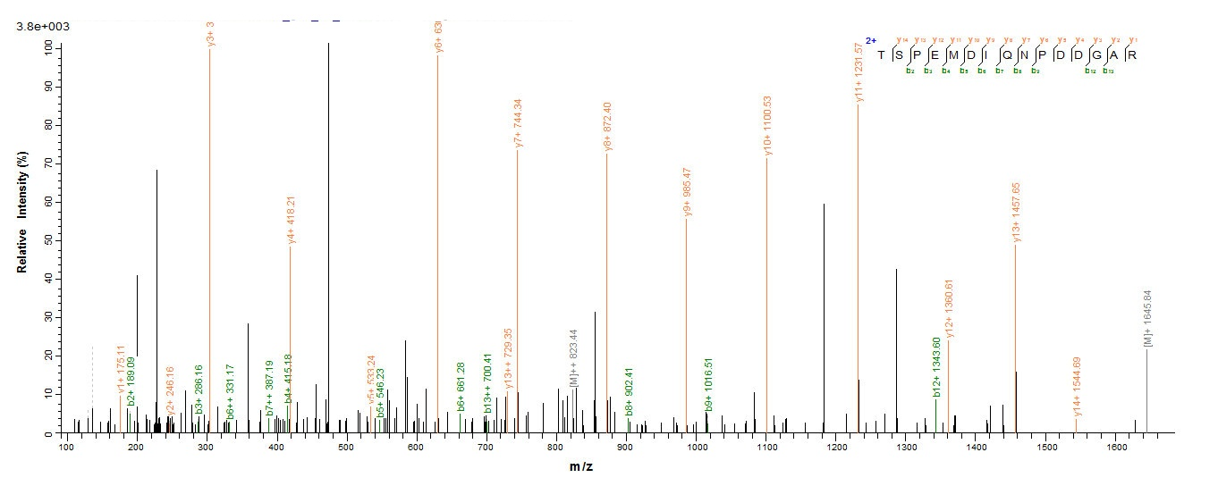 Human MKI67 protein