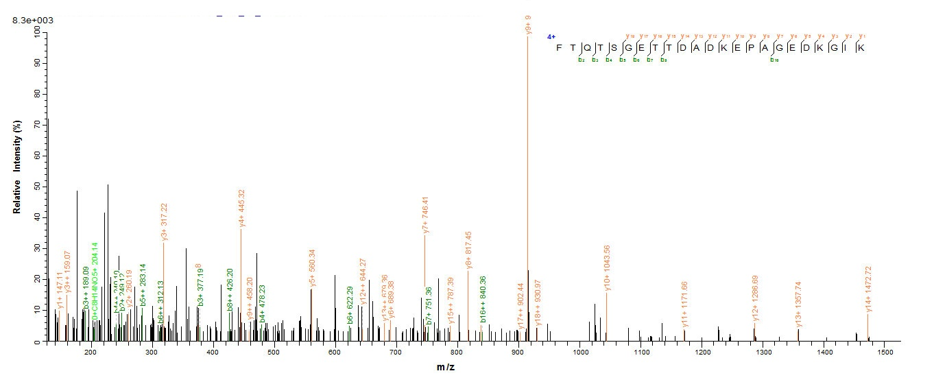 Human MKI67 protein