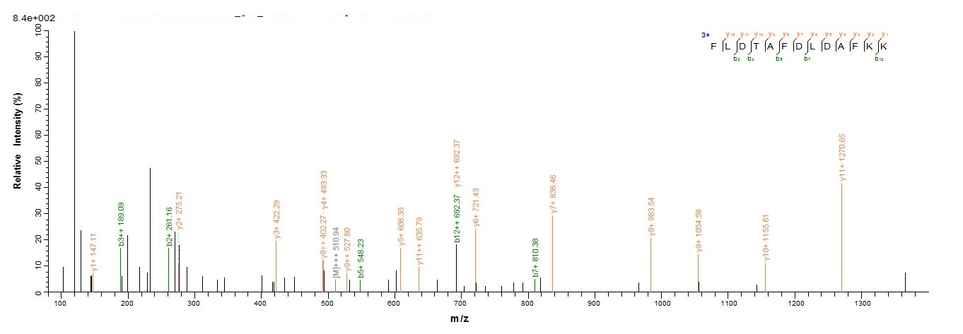Mouse Ogdh protein