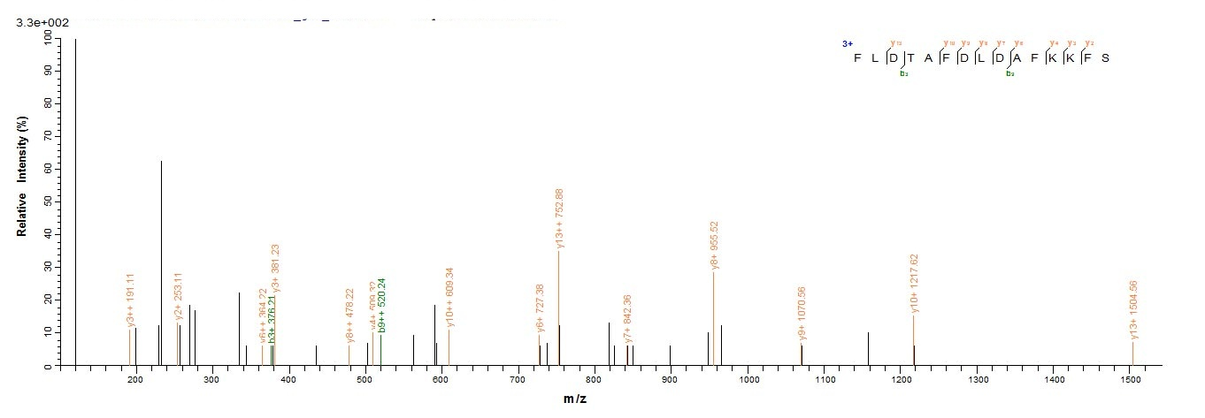 Mouse Ogdh protein