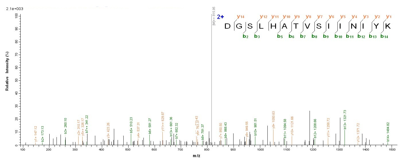 Human PCOLCE2 protein