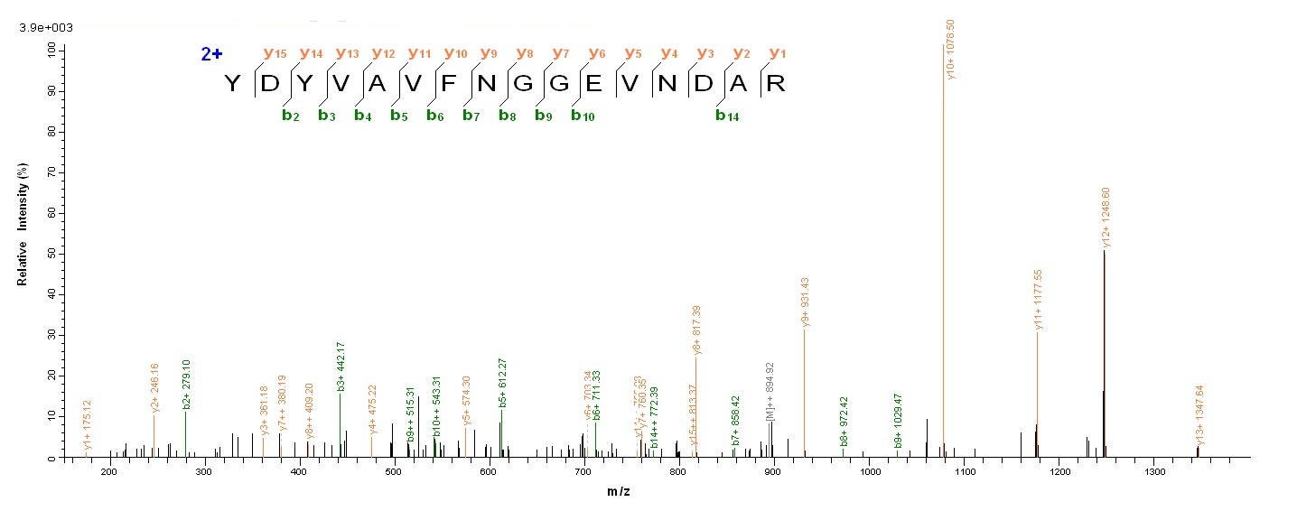 Human PCOLCE2 protein