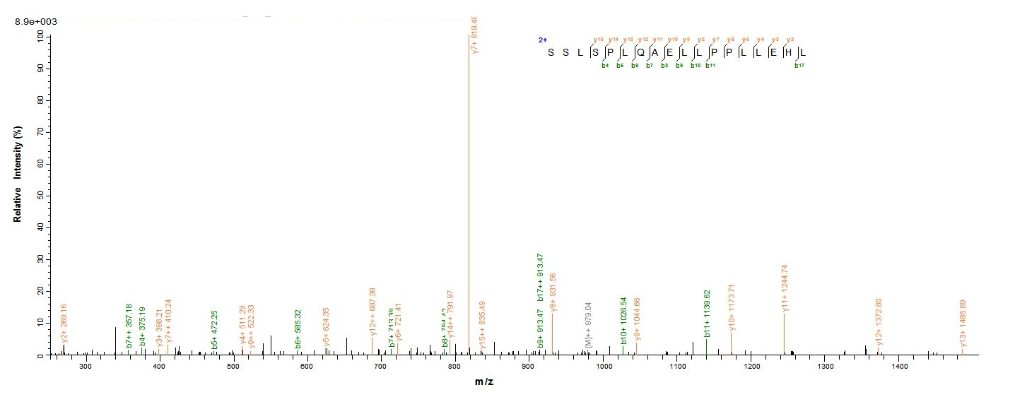 Human PTPRN protein